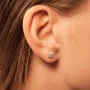 Round Yellow Gold Brilliant Cut VVS Moissanite Stud Earrings